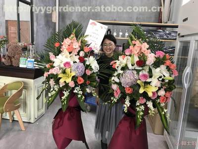 苏州花卉绿植租赁 打造生态友好的办公与生活空间