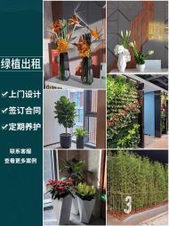 昆明绿植租赁 一站式服务，让自然之美融入生活与办公