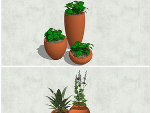 陶罐小景与植物艺术 探秘精品景观设计的SU模型魅力